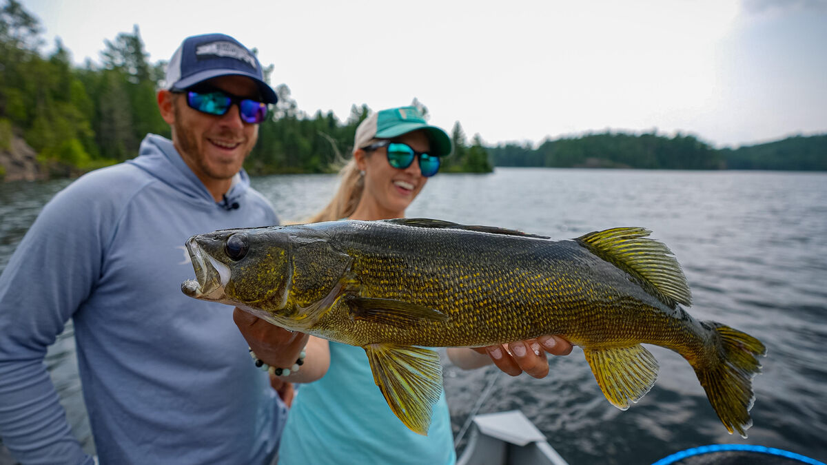 Walleye are the number one sought after species in Sunset Country.